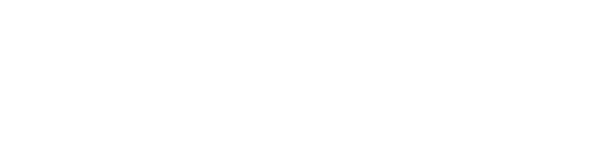 Topmedica Logo